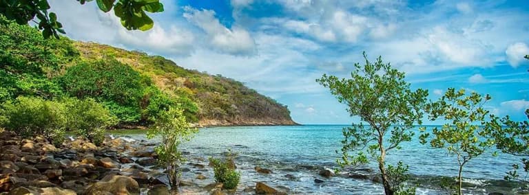 Bờ đá và rừng ven biển ở Bãi Ông Đụng, Côn Đảo