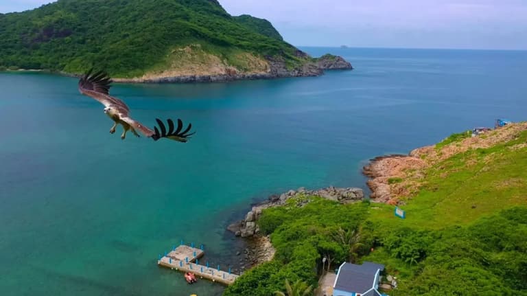 Vịnh Đầm Tre nhìn từ trên cao, mặt nước xanh, núi rừng và cầu cảng nhỏ ven bờ